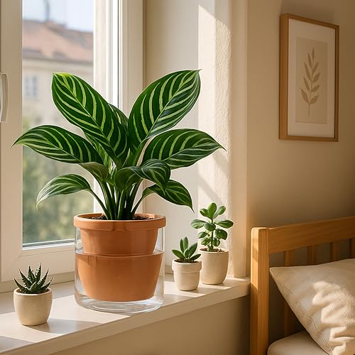 D'vine Dev 8 Inch Design Self Watering Pot for Indoor Plants, Terracotta Planter with Cylinder Glass Cup, 37-X-C-1 - Image 3