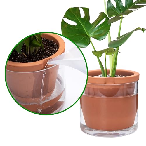 D'vine Dev 8 Inch Design Self Watering Pot for Indoor Plants, Terracotta Planter with Cylinder Glass Cup, 37-X-C-1 - Image 5
