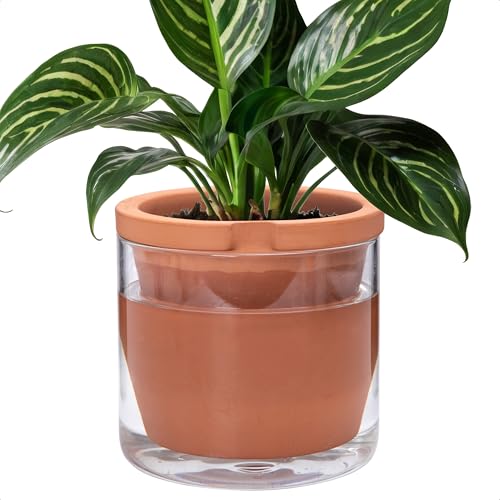 D'vine Dev 8 Inch Design Self Watering Pot for Indoor Plants, Terracotta Planter with Cylinder Glass Cup, 37-X-C-1 - Image 1