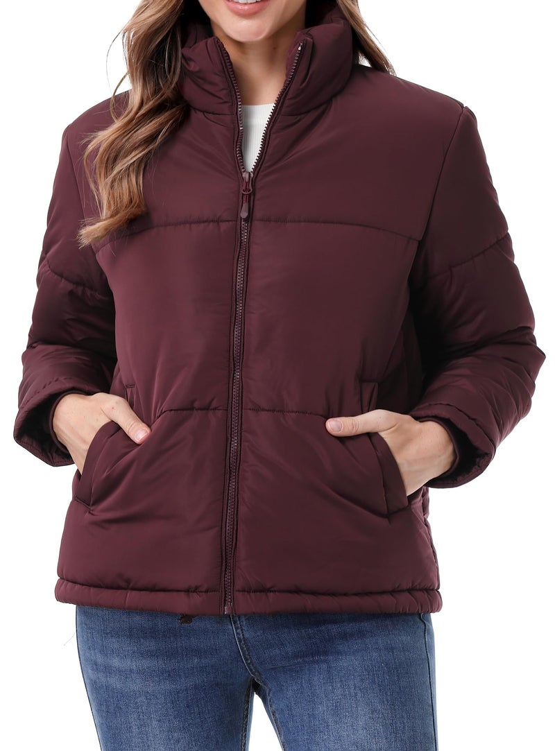 TDYPCI Women's Warm Winter Coat Waterproof Puffer Jacket Full-Zip Lightweight Winter Jacket - Image 2