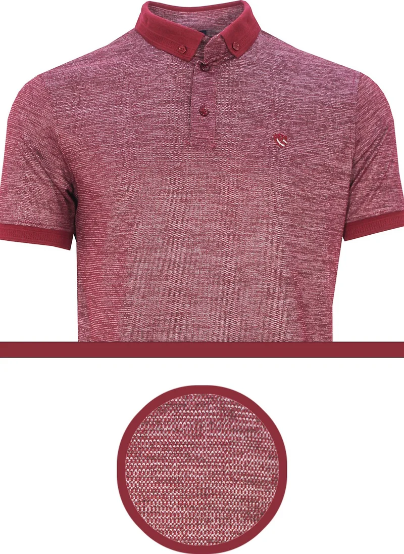 فاريتا Men's Plum Regular Cut Polo Neck Men's Knitwear T-Shirt