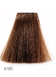 Erayba Gamma Color Permanent Hair Dye100m6/00 Dark Blond  - Image 2