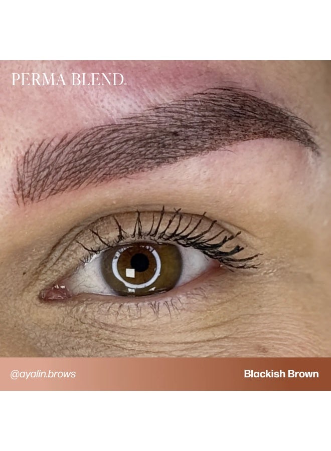 Perma Blend Eyebrow Pigment – Perma Blend Blackish Brown 15ml | Professional Permanent Makeup Brow Tattoo Ink for Microblading, Ombre & Powder Brows | Vegan, High Retention, True-to-Tone Color | SKU: PBBLB1/2 - Image 2