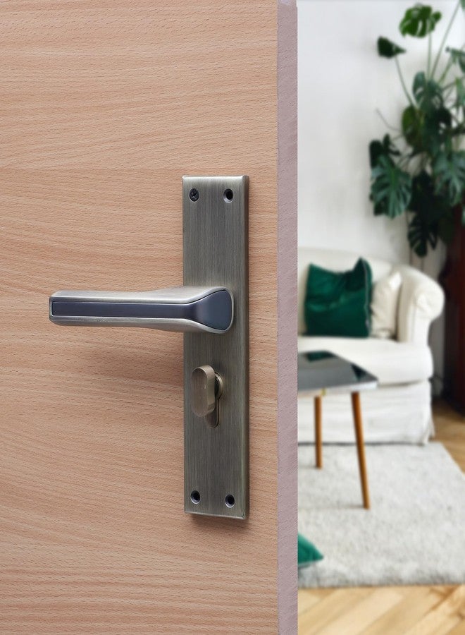 Two Moustaches 5 Inches Antique Finish Door Handle Plate Pair, Door Handles for Home & Office, Antique Brass, (Handle Plate, Without Lock) - Image 3