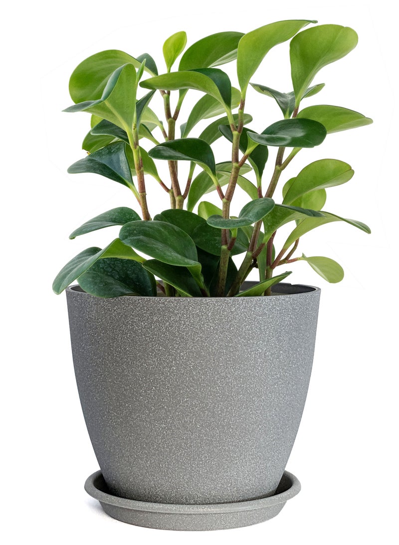 VGROW PRIME Plant Pots, Indoor Planters with Drain Holes and Tray, Large Plastic Flowerpot (9 Inches, Light Grey)  - Image 1