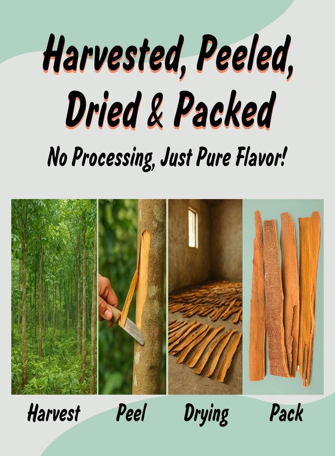 Spice Profile USDA Organic Cassia Cinnamon Stick Flat Barks (3.5oz), Lab Tested for Heavy Metals, Resealable Pouch, Dalchini, Canela Cassia - Image 4