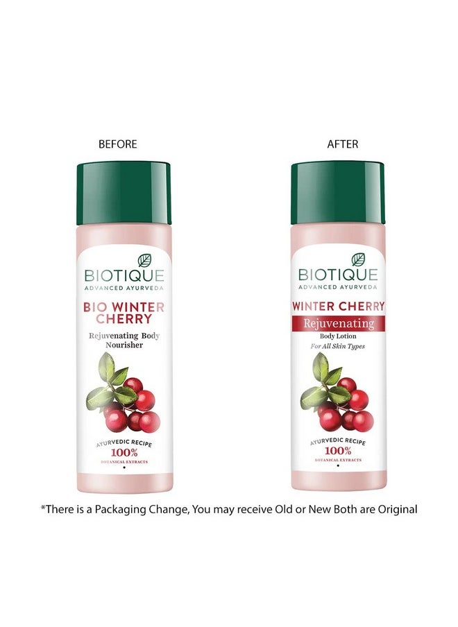 Biotique Biotique Winter Cherry Rejuvenating Body Lotion | Moisturizes and Hydrates the Skin | Prevents Ageing, Wrinkles and Dark Spots| 100% Botanical Extracts| Suitable for All Skin Types | 120ml  - Image 3