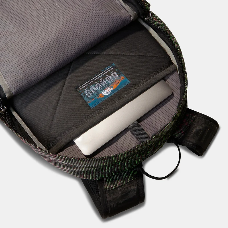 THE NORTH FACE Borealis Classic Backpack