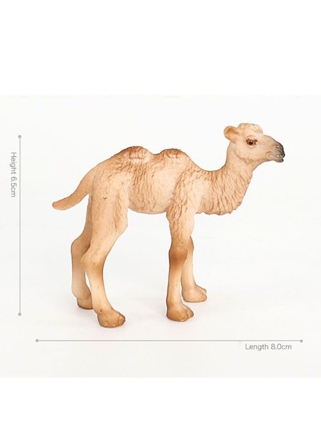 الضفدع الحقيقي قطعتان من تمثال الجمل العربي الواقعي - لعبة حيوانات برية أصلية ودقيقة التفاصيل للتعليم واللعب الممتع - مثالية للأولاد والبنات من سن 3 سنوات فما فوق، متعددة الألوان - Image 3