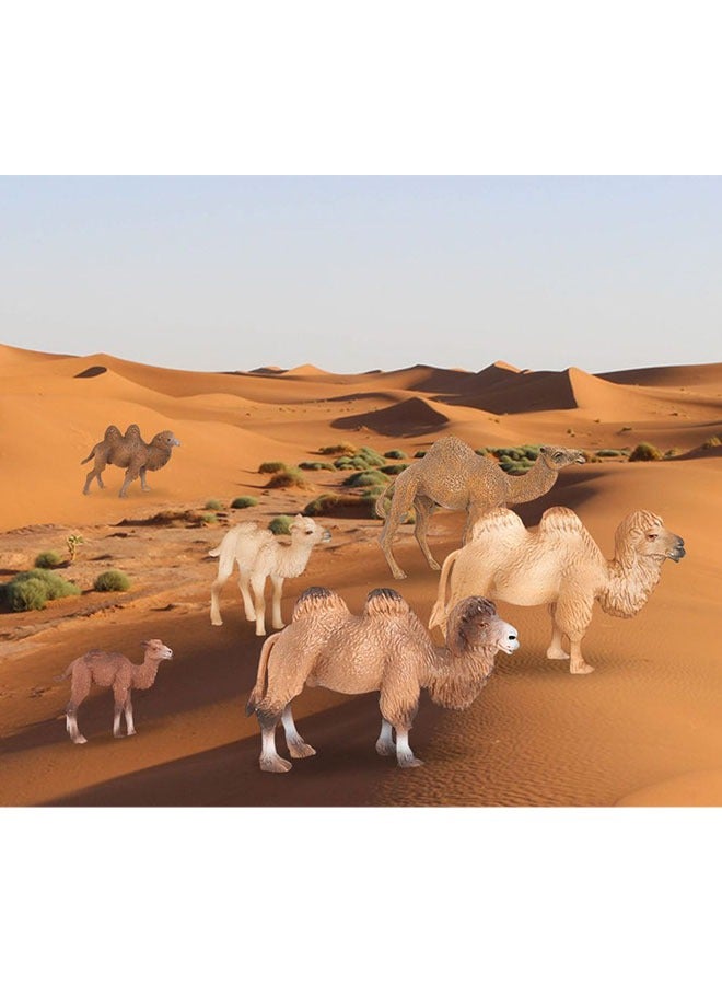 الضفدع الحقيقي قطعتان من تمثال الجمل العربي الواقعي - لعبة حيوانات برية أصلية ودقيقة التفاصيل للتعليم واللعب الممتع - مثالية للأولاد والبنات من سن 3 سنوات فما فوق، متعددة الألوان - Image 2