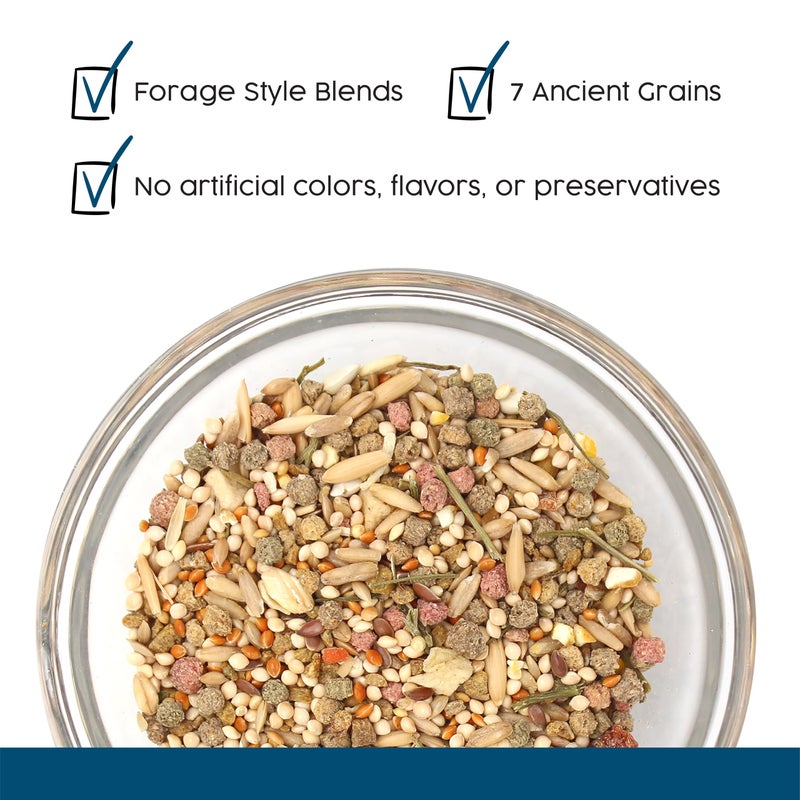 Vitakraft Sunseed Vita Prima Wholesome Nutrition Parakeet Food, 2 LBS - Image 4