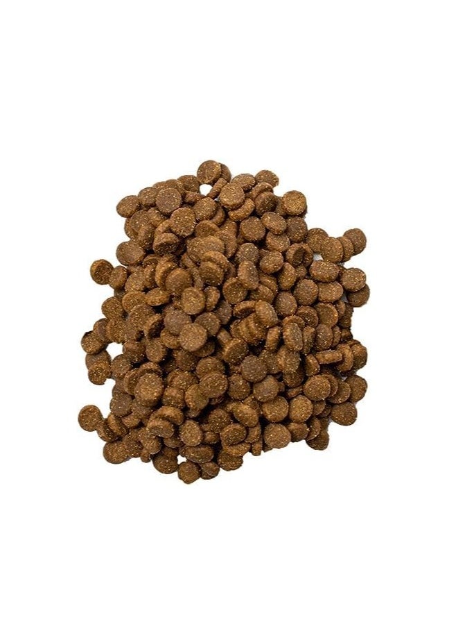 Doodzy Classico Cat Food, Chicken, All Life Stages, 20 Kilograms.  - Image 3