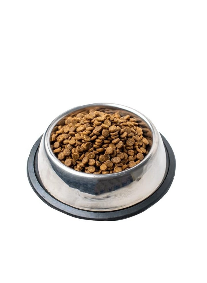 Doodzy Classico Cat Food, Chicken, All Life Stages, 20 Kilograms.  - Image 4