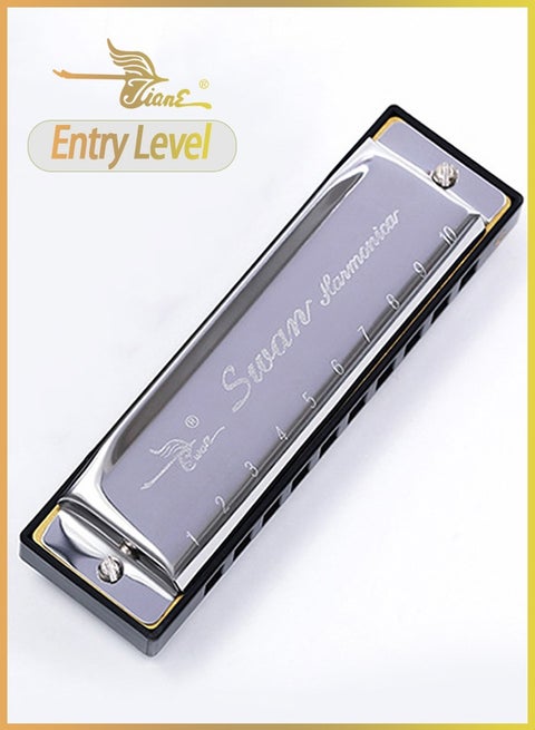 هارمونيكا بلوز C بـ 10 فتحات - هارمونيكا دياتونية احترافية للمبتدئين للأطفال والكبار، آلة سهلة العزف - فضي