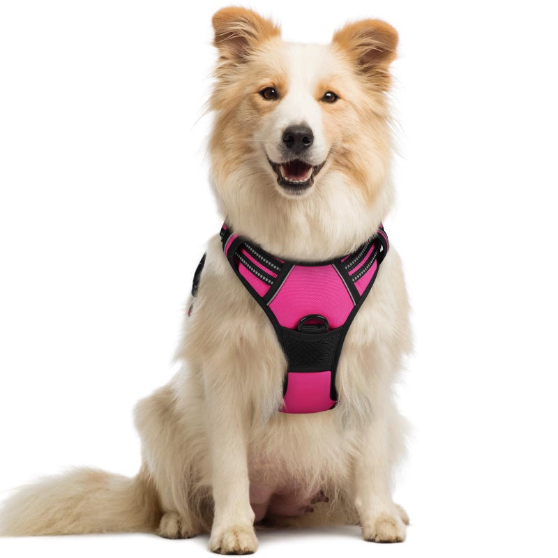 rabbitgoo Dog Harness No Pull with 2 Leash Clips, Adjustable Soft Padded, Reflective Oxford No Choke Pet Vest with Easy Control Handle for Medium Sized Dogs, Hot Pink, M - Image 1