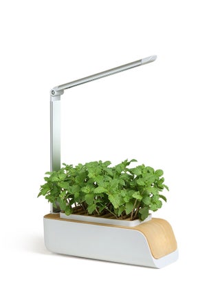 Hydroponics Growing System, 9 Pods Smart Garden Planter, Indoor Herb Garden Kit with LED Grow Light Automatic Timer Germination Kits - pzsku/Z92500F82CCD0A81B9C71Z/45/_/1690312654/0703499b-7216-47fc-b8f8-cb0d2a08d87b