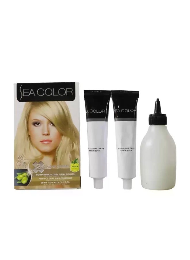 SEACOLOR Sea Color Permanent Hair Color Enrich With Olive Oil, Perfect Gray Hair Coverage- 0.1 Platinum Blonde - Image 1