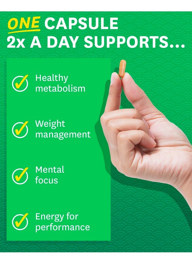 Zenwise Health - Zenwise Health EGCG Green Tea Extract Capsules - Mental Focus + Immune Health + Antioxidant + Heart Support with Green Coffee Bean for Energy & Metabolism Boost - 120 CT - Image 1