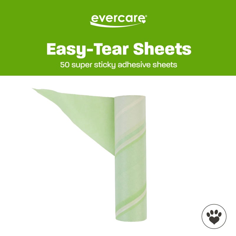 Evercare Pack of 3 All-Purpose Pet Mega Oversized Lint Roller Refills, 50 Sheets Each - Image 5