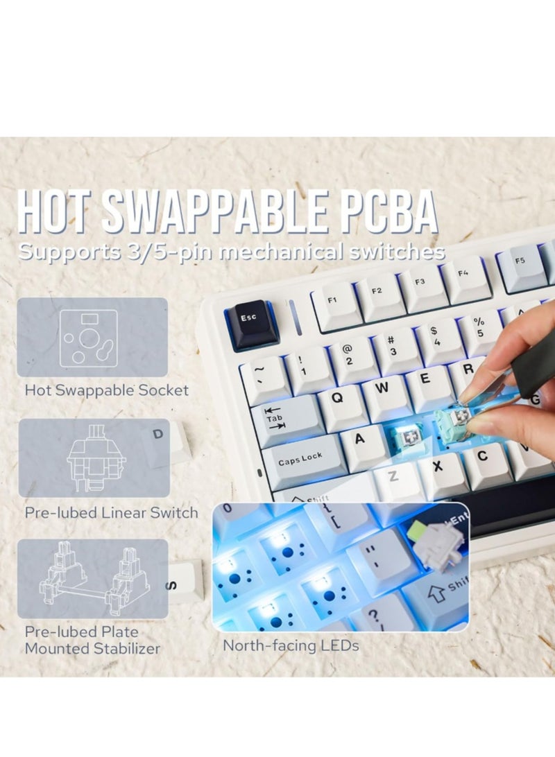 ابوماكر كيبورد العاب EPOMAKER x AULA F75 جاسكيت ميكانيكال قابلة للتبديل السريع بنسبة 75% مع بطانة من خمس طبقات وأزرار مزود بإمكانية اتصال عن طريق بلوتوث/لاسلكي/USB-C، RGB ايبوميكر، لون أزرق فاتح، مفتاح ايس فين - Image 4