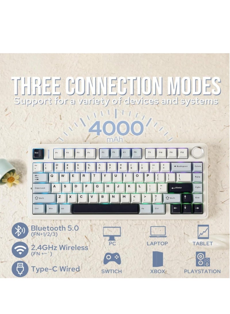 ابوماكر كيبورد العاب EPOMAKER x AULA F75 جاسكيت ميكانيكال قابلة للتبديل السريع بنسبة 75% مع بطانة من خمس طبقات وأزرار مزود بإمكانية اتصال عن طريق بلوتوث/لاسلكي/USB-C، RGB ايبوميكر، لون أزرق فاتح، مفتاح ايس فين - Image 3