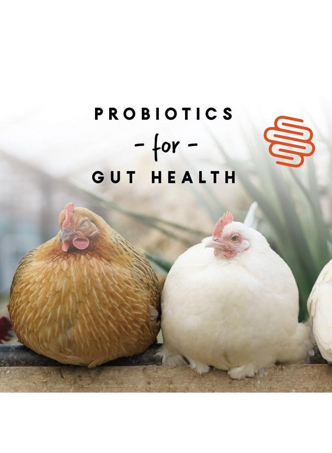 مانا برو طبقة 16% مع فتات البروبيوتيك | بدون ألوان أو نكهات صناعية | 8 رطل - Image 3