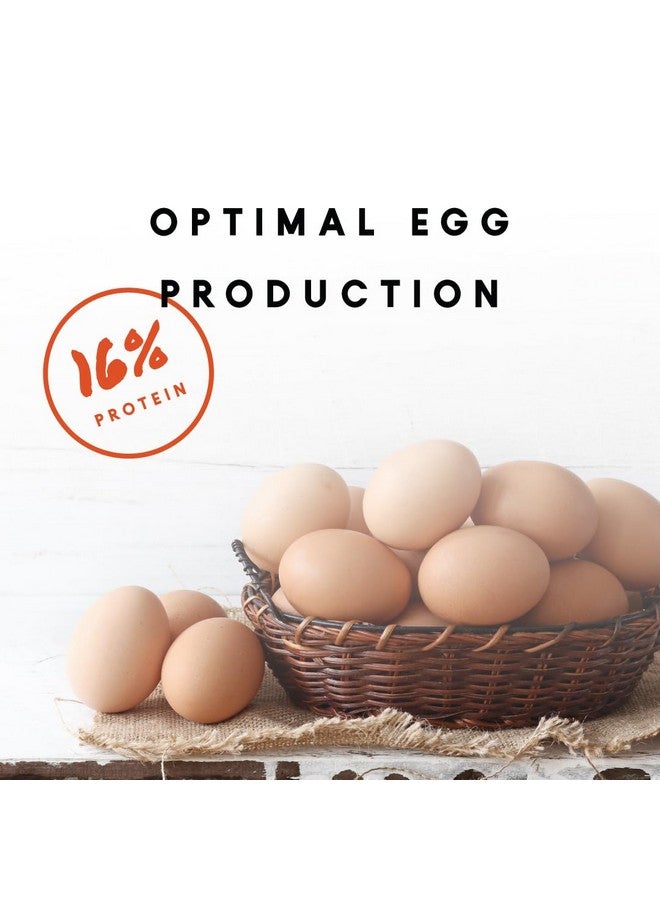 مانا برو طبقة 16% مع فتات البروبيوتيك | بدون ألوان أو نكهات صناعية | 8 رطل - Image 2