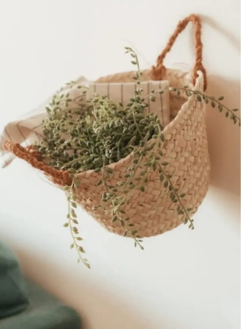 سلة بمقابض من جوز الهند – قطر 14 سم - Image 2