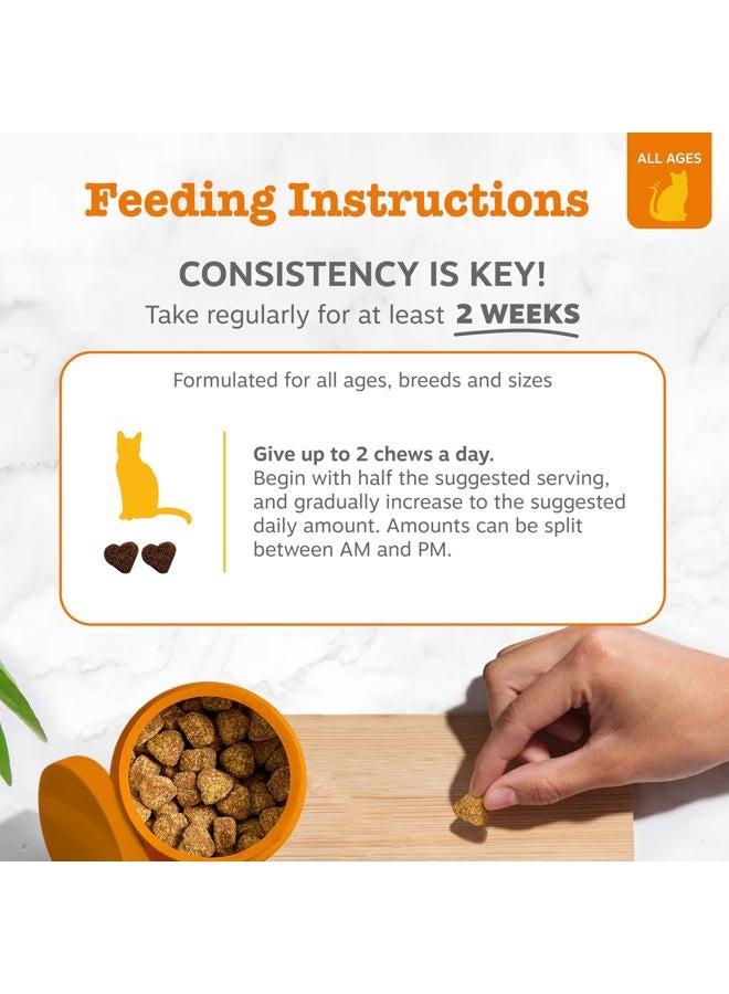 Zesty Paws Lysine Immune Soft Chews for Cats - with L-Lysine, EpiCor, Astragalus Root, Quercetin & Antioxidants - Advanced Functional Supplement for Cat Immune Support - Salmon Flavor - 60 Count - Image 4