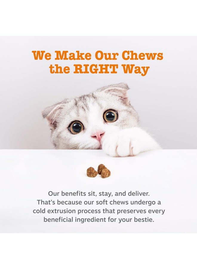 Zesty Paws Lysine Immune Soft Chews for Cats - with L-Lysine, EpiCor, Astragalus Root, Quercetin & Antioxidants - Advanced Functional Supplement for Cat Immune Support - Salmon Flavor - 60 Count - Image 5