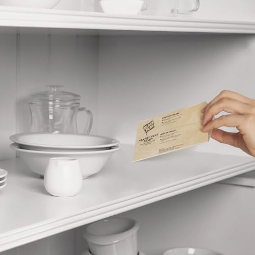 Black Flag Pantry Pest Glue Trap, 2 Count - Image 3