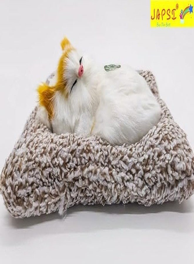 JAPSI Sleeping_CAT - Image 4