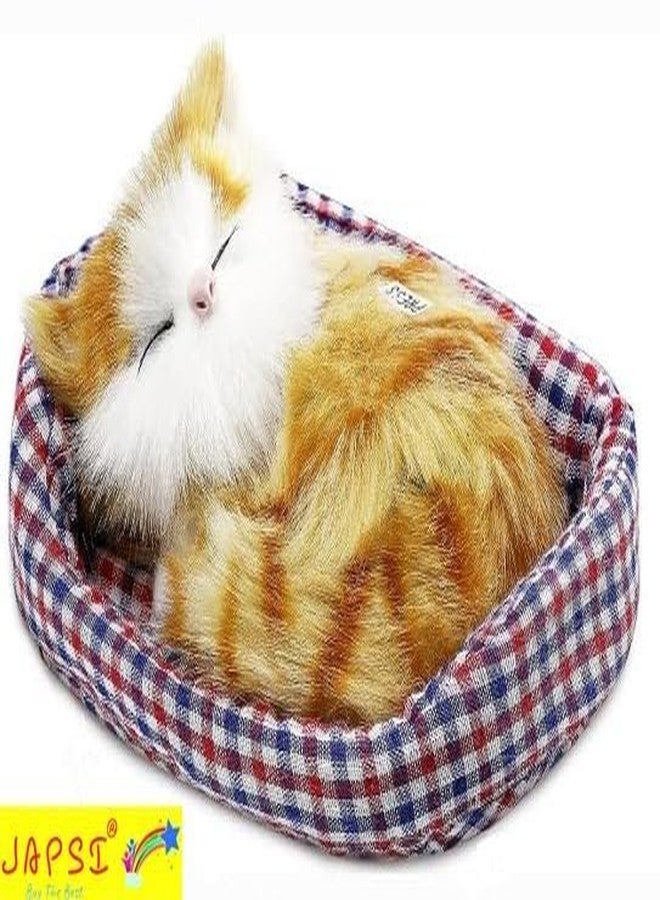 JAPSI Sleeping_CAT - Image 3