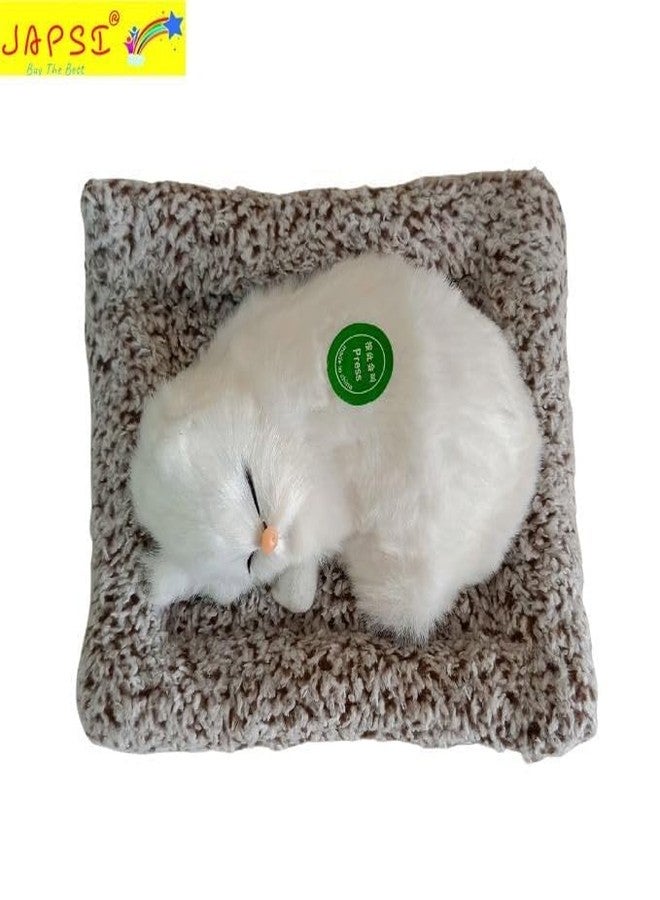 JAPSI Sleeping_CAT - Image 5