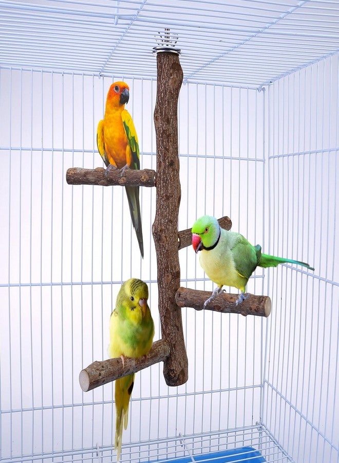CozyCabin Bird Perch Stand Natural Wood Cage Perch Bird Cage Accessorie Toys Standing Rack for Cockatiels, Parakeets, Macaw, Small Birds Exercise Training - Image 2
