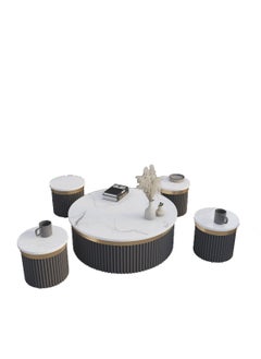 Round Coffee Table Set in Elegant Dark Gray with Gold Accents – Luxurious White Marble Surface – Large Table (Diameter: 80 cm, Height: 23 cm) & 4 Side Tables (Diameter: 33 cm, Height: 23 cm) - pzsku/Z925770C708ACB6FFF548Z/45/_/1738583621/3cd7e401-0120-4a1e-b9e3-f614dcdcde66