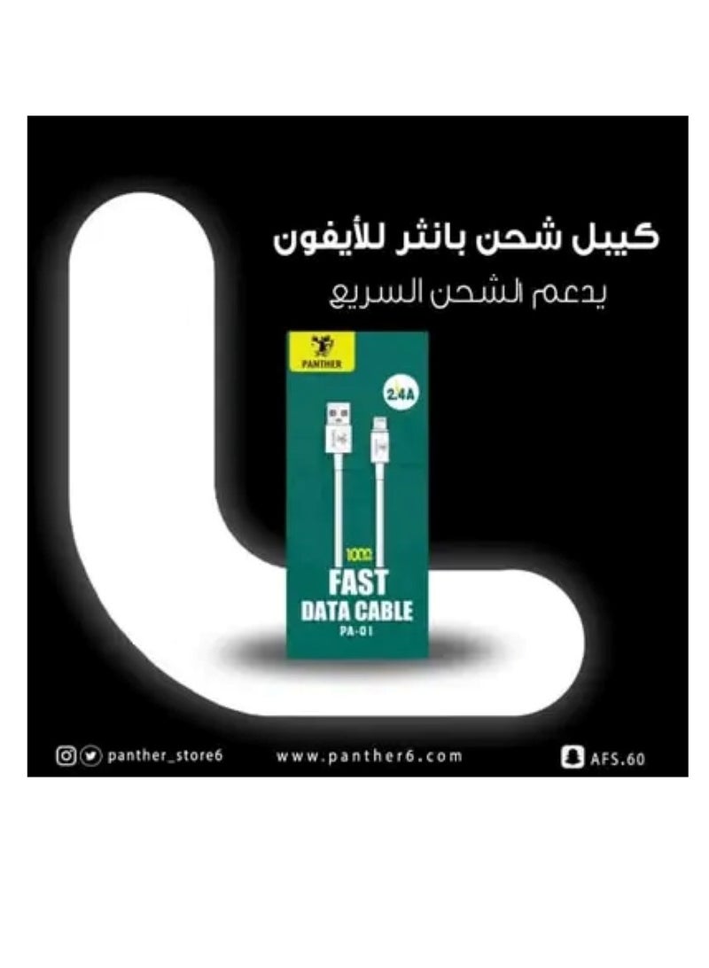 Panther iPhone Charging Cable – Fast Charging Supported