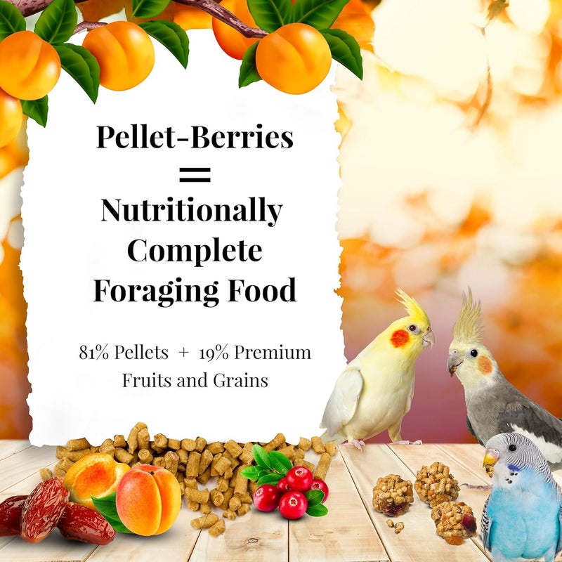 ليفبير طعام الطيور الأليف LAFEBER’s Pellet-Berries، مصنوع من مكونات غير معدلة وراثيًا ومن الدرجة البشرية، مناسب للكوكاتييل، والكونور، والباراكيت (البودجيز)، وطيور الحب (حجم العبوة: 10 أونصات). - Image 2