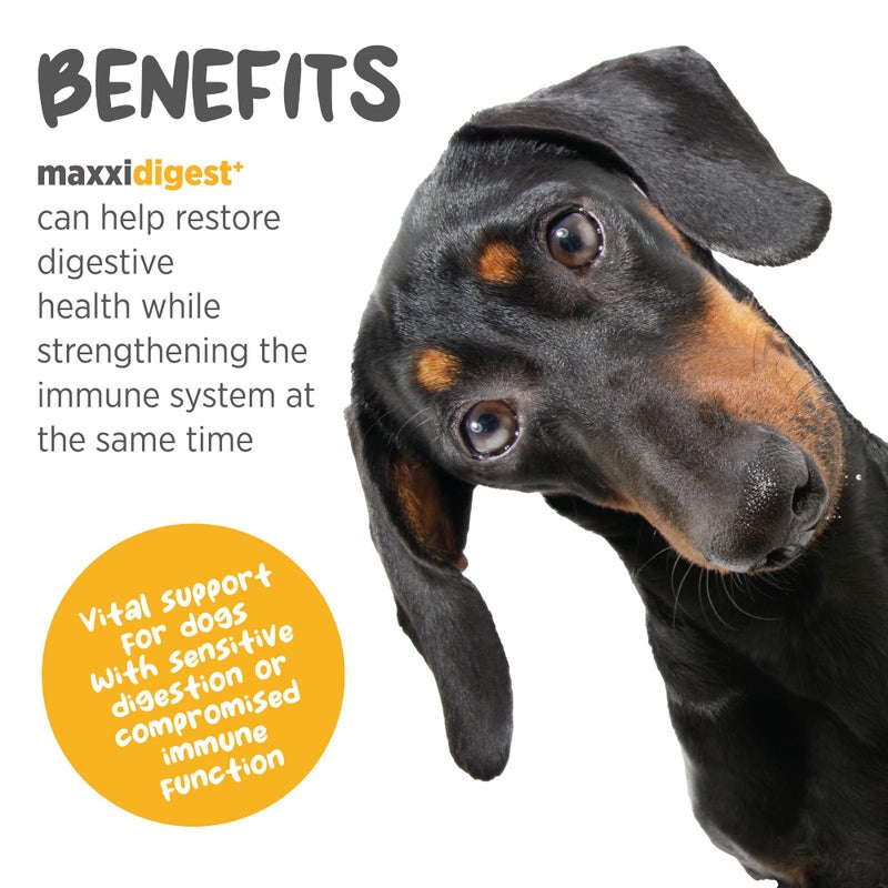 maxxipaws maxxidigest+ Prebiotic & Probiotic for Dogs 7oz | Dog Probiotic Powder with Advanced Digestive Enzymes for Gut Health & Immunity | Supports Digestion, Food Sensitivities & Itchy Skin - Image 2