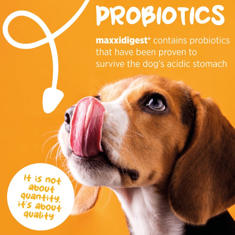 maxxipaws maxxidigest+ Prebiotic & Probiotic for Dogs 7oz | Dog Probiotic Powder with Advanced Digestive Enzymes for Gut Health & Immunity | Supports Digestion, Food Sensitivities & Itchy Skin - Image 3