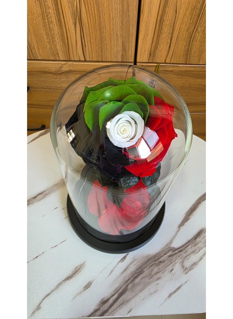فلاور وردة العلم الوطني الإماراتي المحفوظة في قبة زجاجية - هدايا وديكورات فاخرة - Image 4