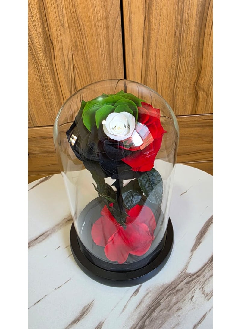 فلاور وردة العلم الوطني الإماراتي المحفوظة في قبة زجاجية - هدايا وديكورات فاخرة - Image 2