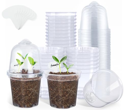 homenote Clear Nursery Pots for Plants,3 Inch Plant Pot for Planting with Humidity Domes Plastic Seedling with Drainage Holes Seed Starter Flower High Transparency (30 Pack) - Image 1