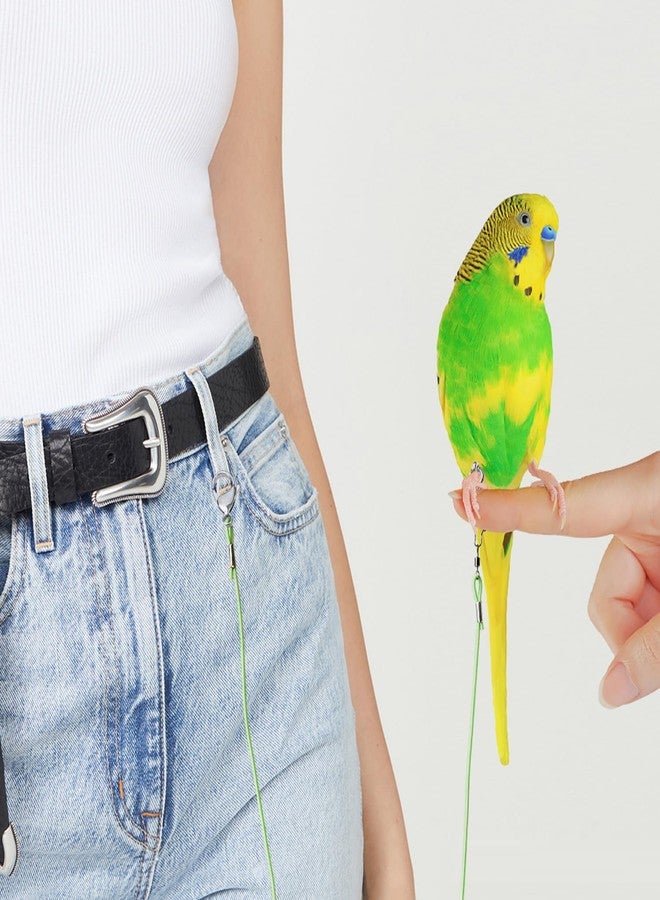 Homeaura Lightweight Bird Harness with Leash and 5Pcs Secure Leg Rings Lightweight Design | Secure Fit | Comfortable Wear | Easy to Use | Durable Material - Image 5