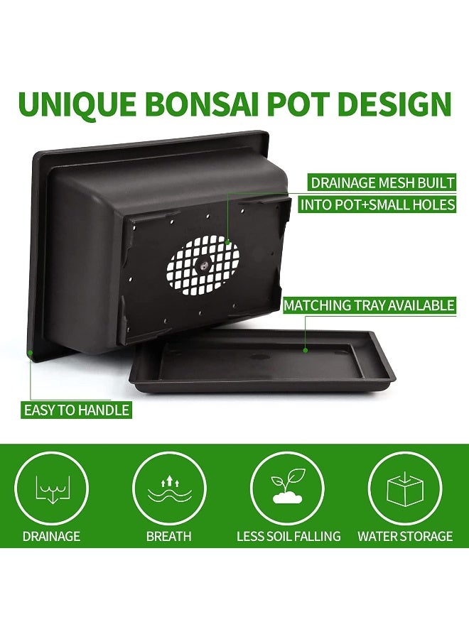 Generic 5 Bonsai Tree Kit Complete Plant Growing Tools, Grow in Pot Indoor Bonsai Tree Starter Kit, Great Home Gardening Potted Plants DIY Gift for Adults  - Image 1