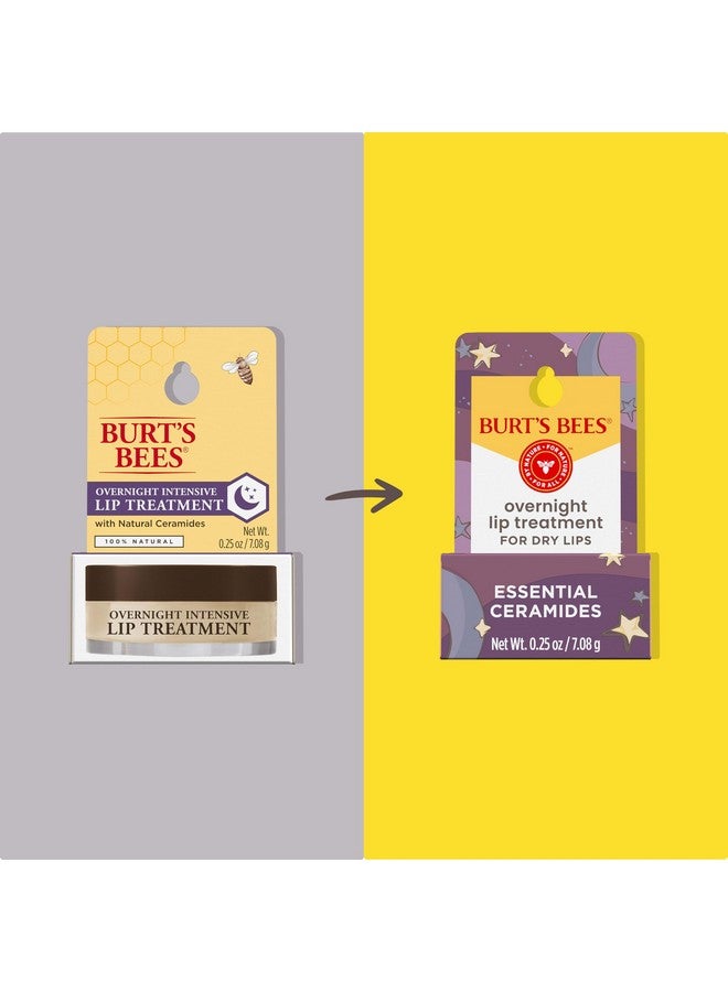 بيرتس بيز علاج مكثف للشفاه من بيرتس بيز، 0.25 أونصة - مرطب، مُجدد، يُقلل من الخطوط الدقيقة، فيتامين هـ، زيوت السيراميد، معتمد من ليبينج باني، عبوة مضغوطة - Image 2