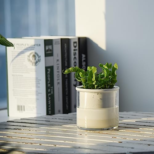 Phoenix Vine 4 Inch Self Watering Planter Pot, Design White Terracotta Pots for Plants, Indoor Cylinder Terra Cotta Pots with Glass Vase, Set of 4, 51-B-E-4 - Image 5