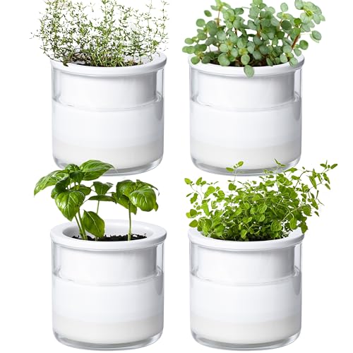 Phoenix Vine 4 Inch Self Watering Planter Pot, Design White Terracotta Pots for Plants, Indoor Cylinder Terra Cotta Pots with Glass Vase, Set of 4, 51-B-E-4 - Image 1