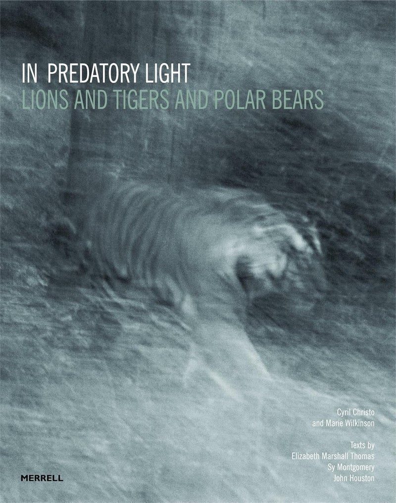 In Predatory Light: Lions and Tigers and Polar Bears - Image 1