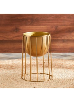 Home Box Ace Metal Wired Planter 17x38x17 cm  - Image 2